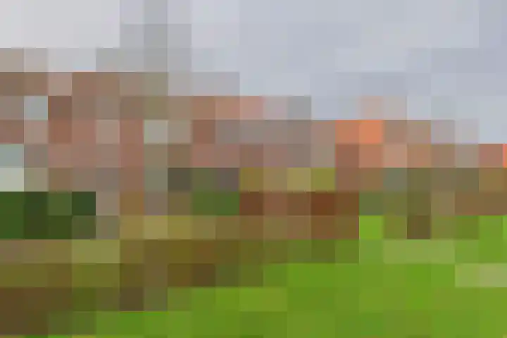 Axelsestraat 102 Zaamslag thumbnail 29