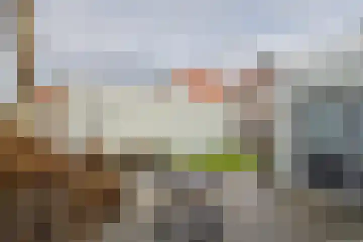 Axelsestraat 102 Zaamslag thumbnail 4