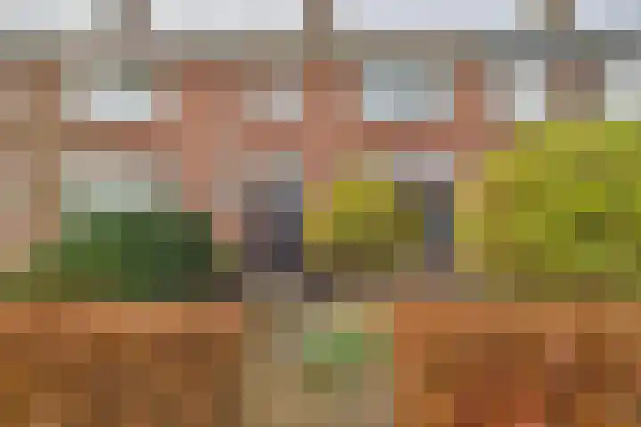 Axelsestraat 102 Zaamslag thumbnail 5