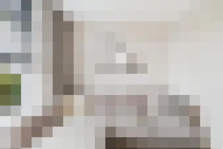 Axelsestraat 102 Zaamslag thumbnail 7