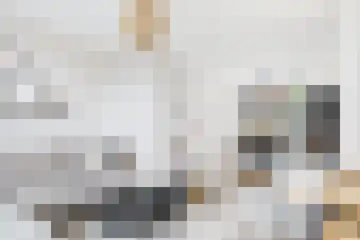 Axelsestraat 102 Zaamslag thumbnail 8