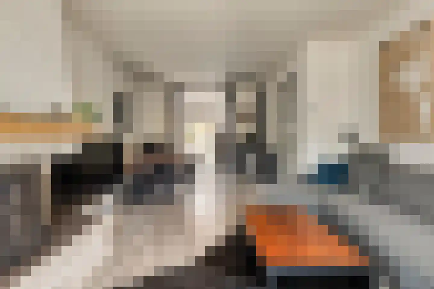 Axelsestraat 145 Terneuzen thumbnail 15