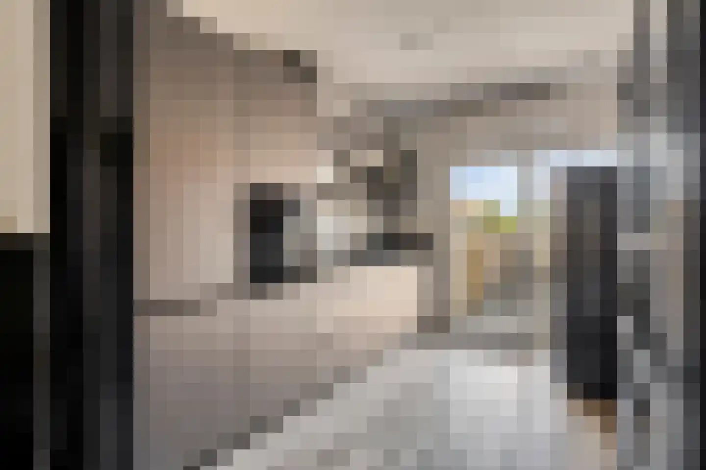 Axelsestraat 145 Terneuzen thumbnail 21