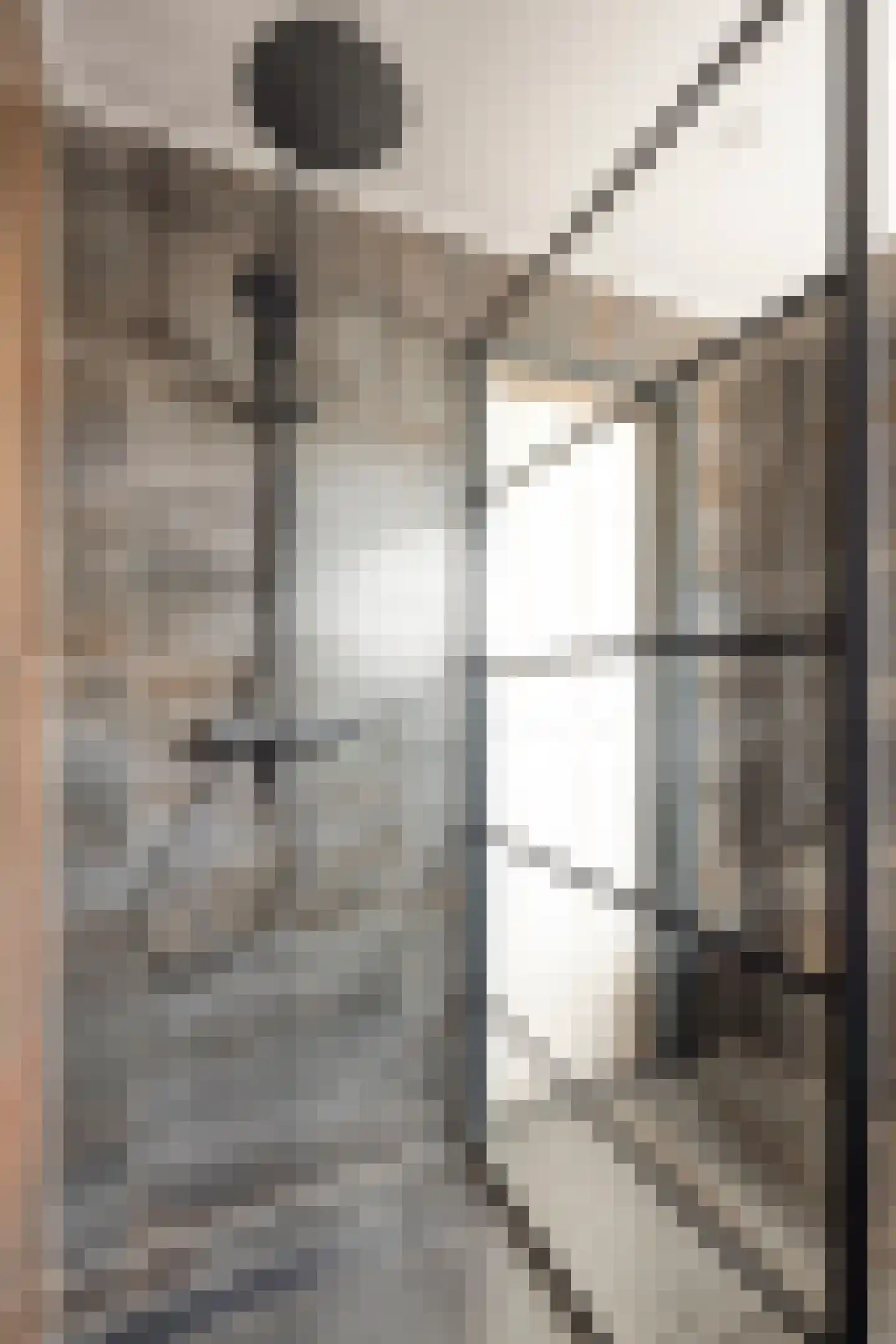Axelsestraat 145 Terneuzen thumbnail 27