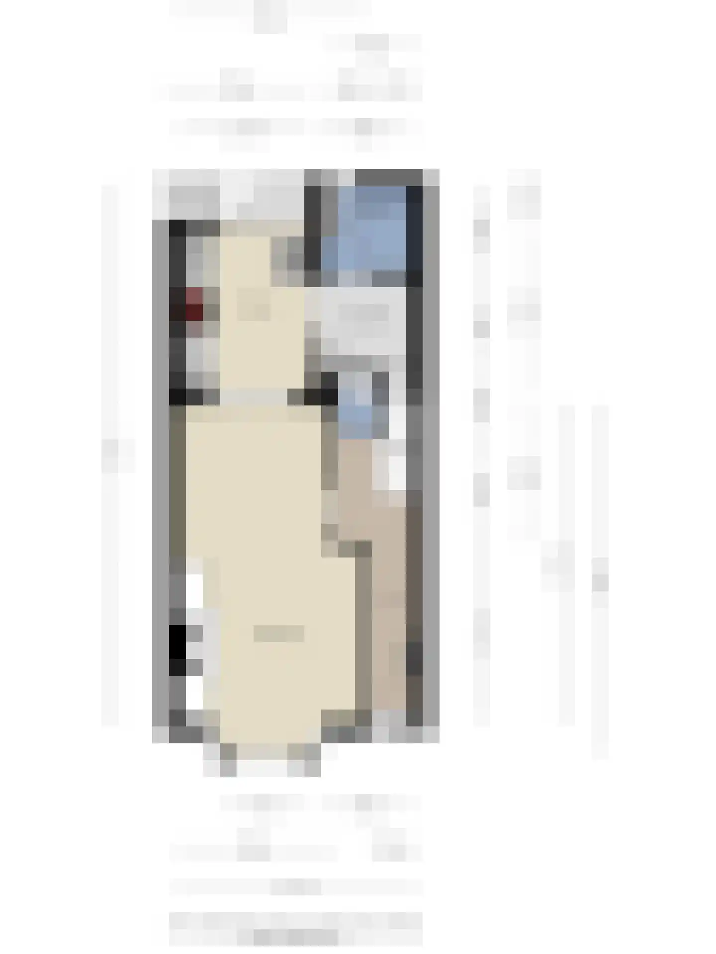 Axelsestraat 145 Terneuzen thumbnail 38