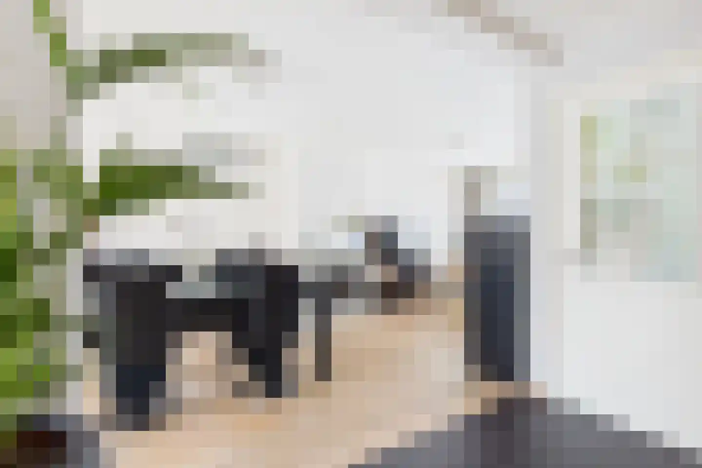Axelsestraat 153 a Zaamslag thumbnail 11