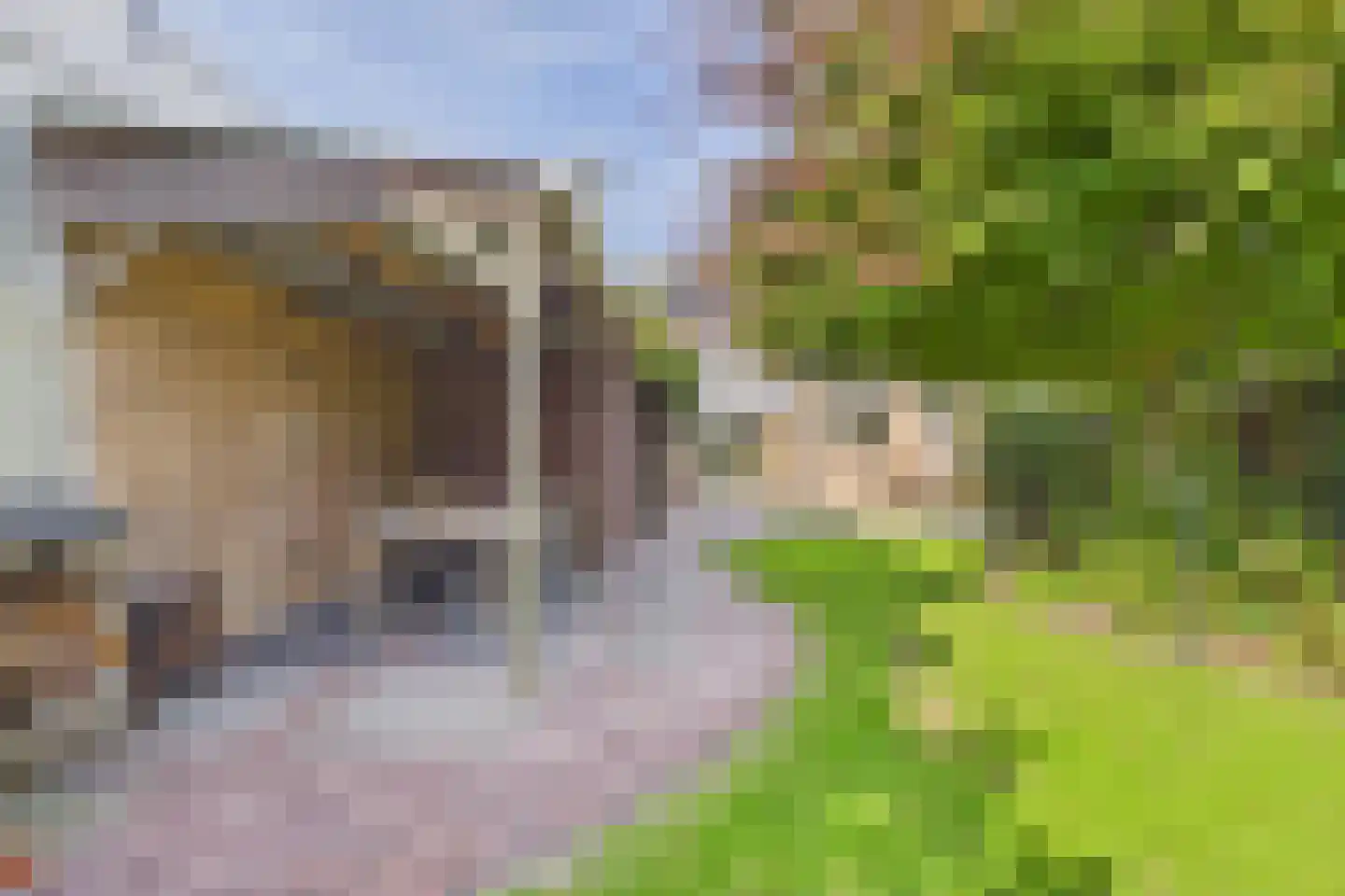 Axelsestraat 153 a Zaamslag thumbnail 31