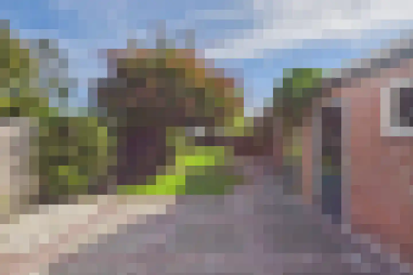 Axelsestraat 153 a Zaamslag thumbnail 35