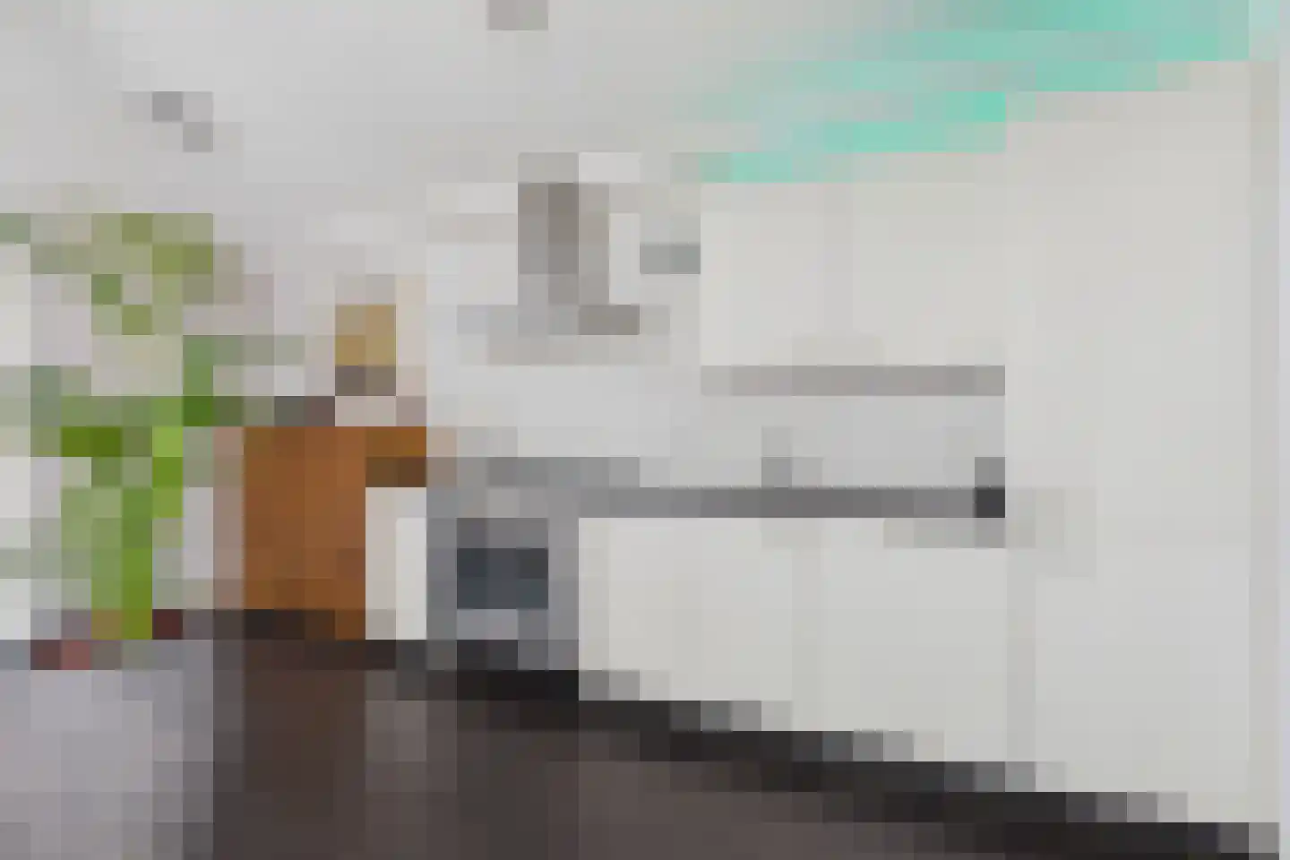 Axelsestraat 153 a Zaamslag thumbnail 4