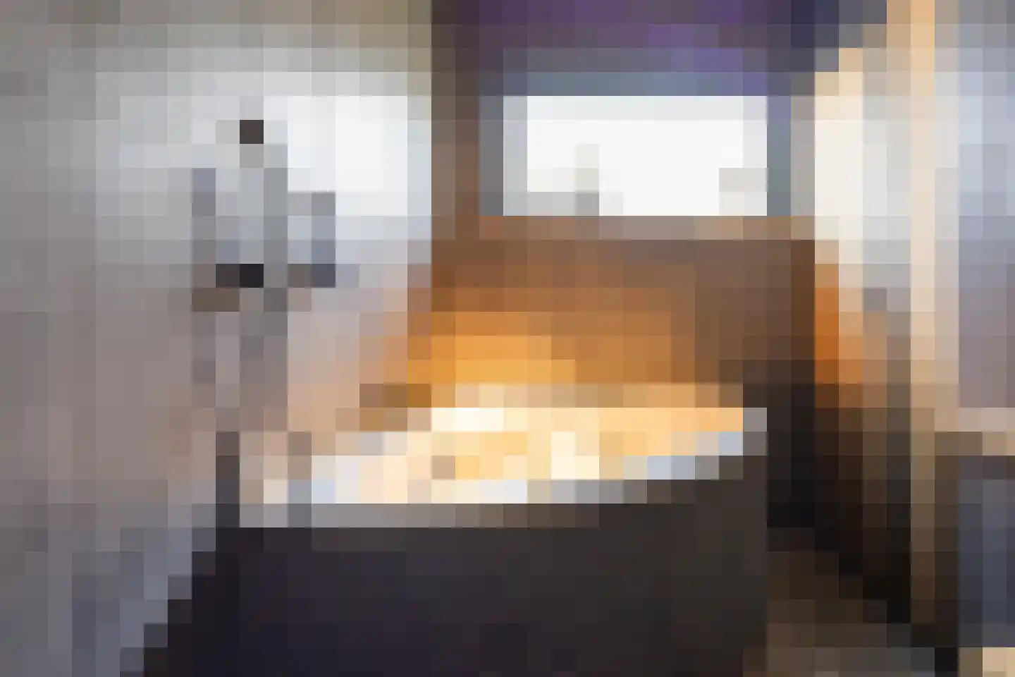 Axelsestraat 167 Terneuzen thumbnail 18