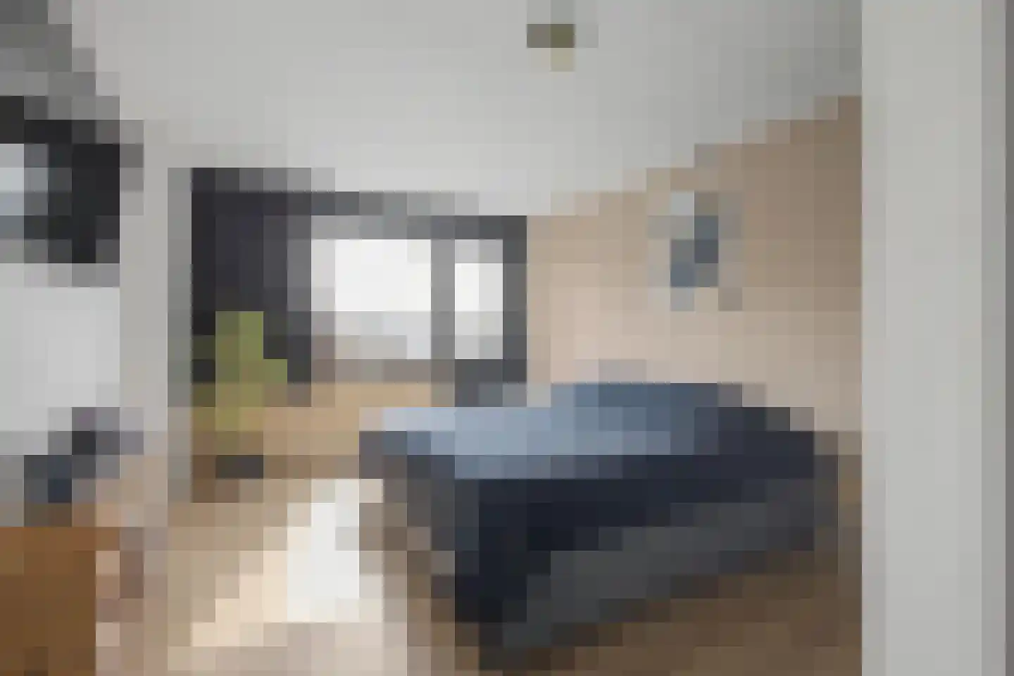 Axelsestraat 167 Terneuzen thumbnail 22