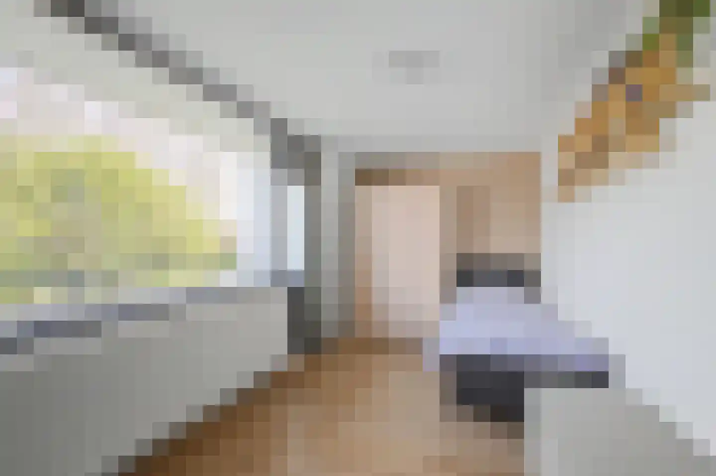 Axelsestraat 167 Terneuzen thumbnail 24