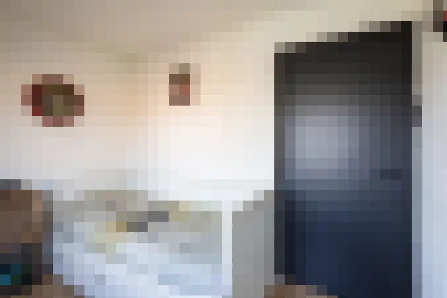 Axelsestraat 167 Terneuzen thumbnail 29
