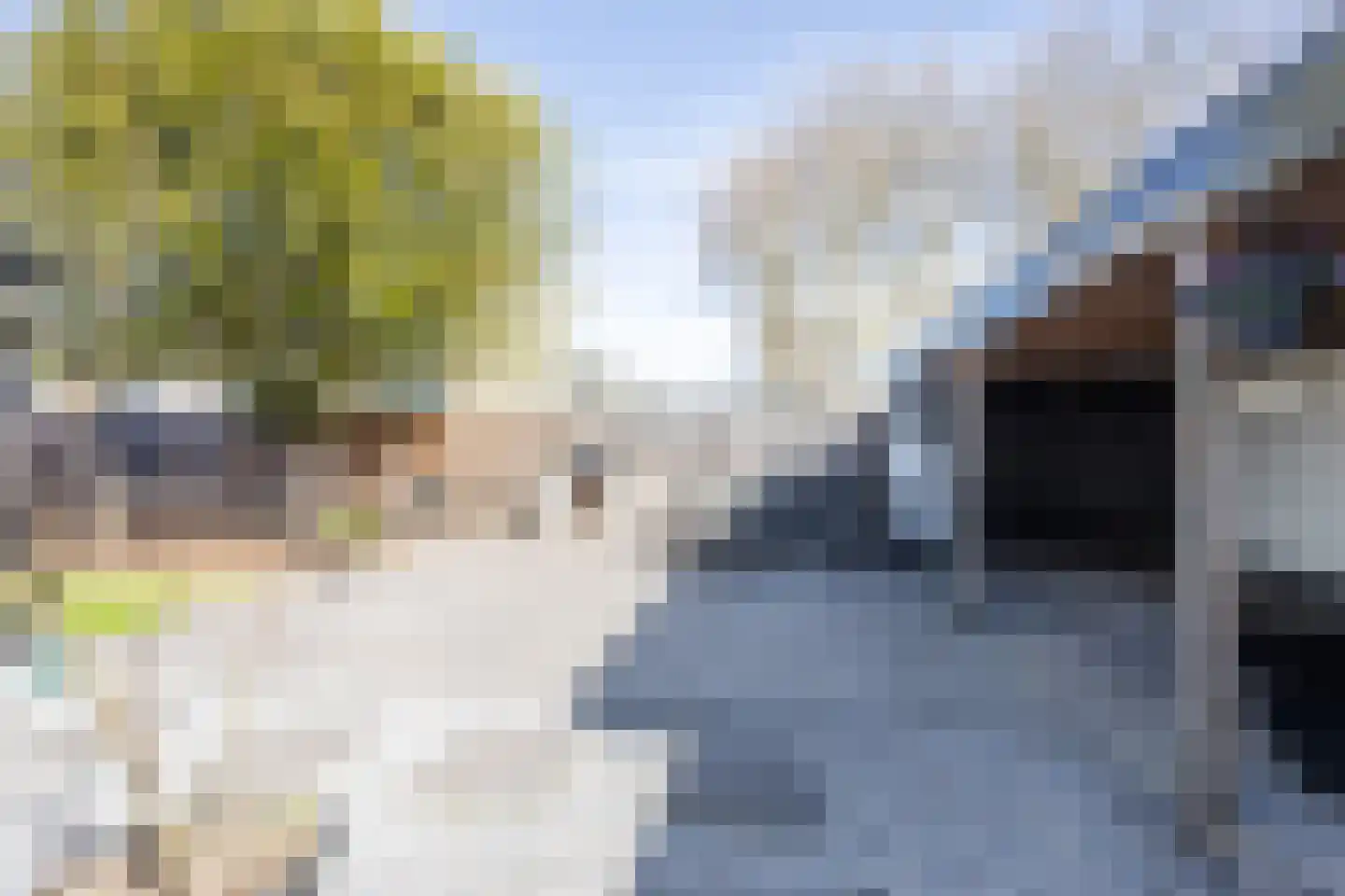 Axelsestraat 167 Terneuzen thumbnail 33