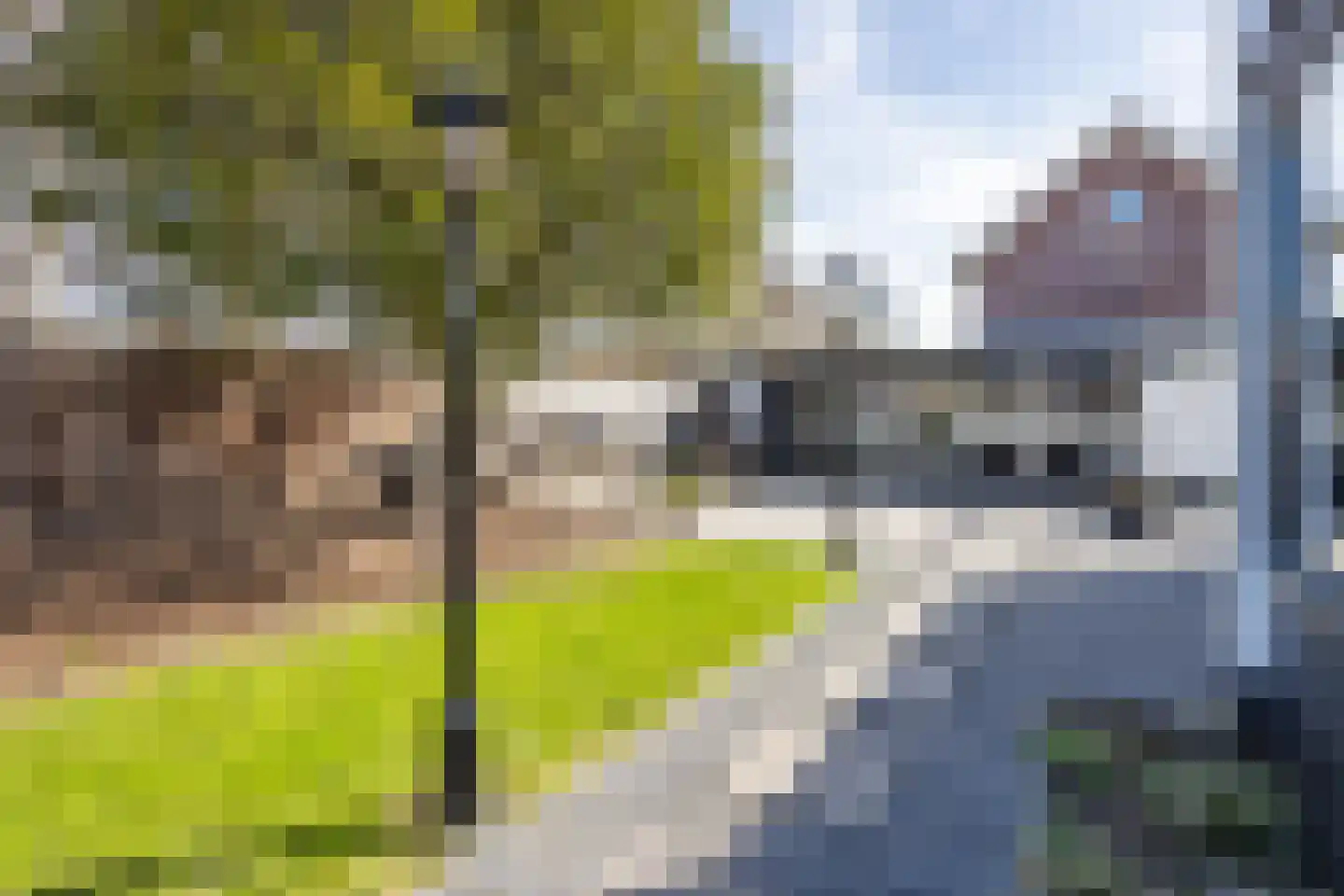 Axelsestraat 167 Terneuzen thumbnail 36