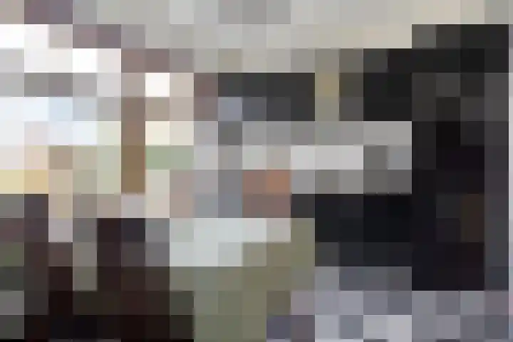 Axelsestraat 24 Zaamslag thumbnail 10