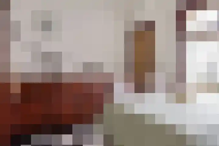 Axelsestraat 24 Zaamslag thumbnail 11