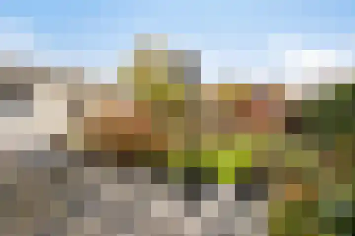 Axelsestraat 24 Zaamslag thumbnail 18