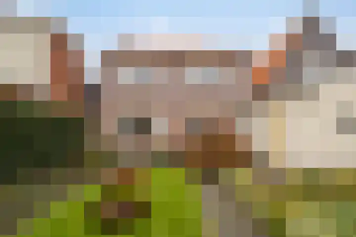Axelsestraat 24 Zaamslag thumbnail 20