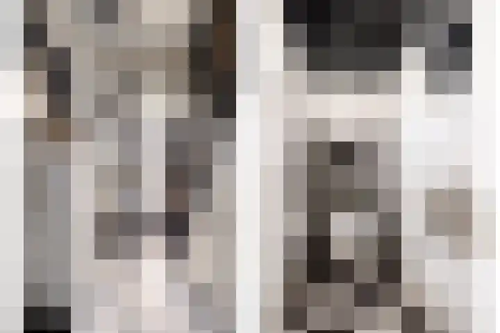 Axelsestraat 24 Zaamslag thumbnail 5