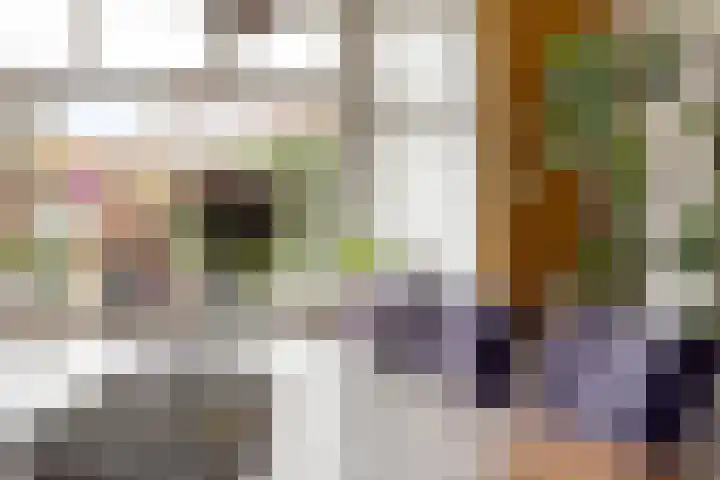 Axelsestraat 24 Zaamslag thumbnail 9