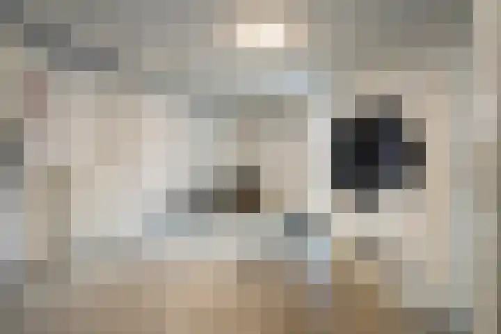 Axelsestraat 3 Terneuzen thumbnail 13