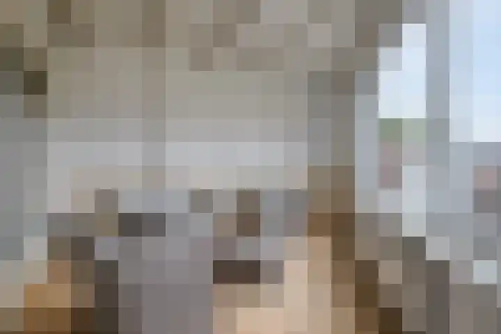 Axelsestraat 3 Terneuzen thumbnail 27