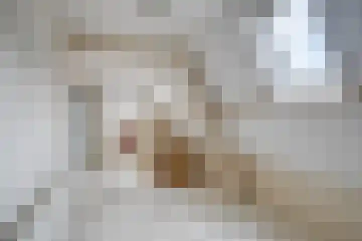 Axelsestraat 3 Terneuzen thumbnail 29