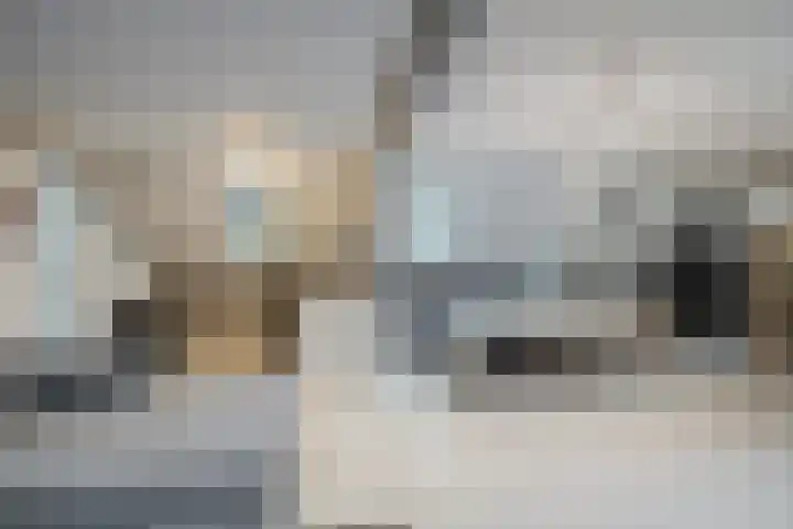 Axelsestraat 3 Terneuzen thumbnail 34