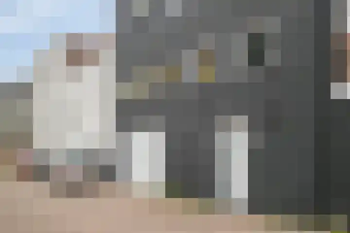 Axelsestraat 3 Terneuzen thumbnail 40