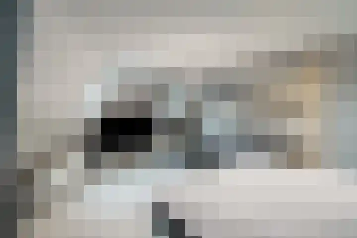Axelsestraat 3 Terneuzen thumbnail 5