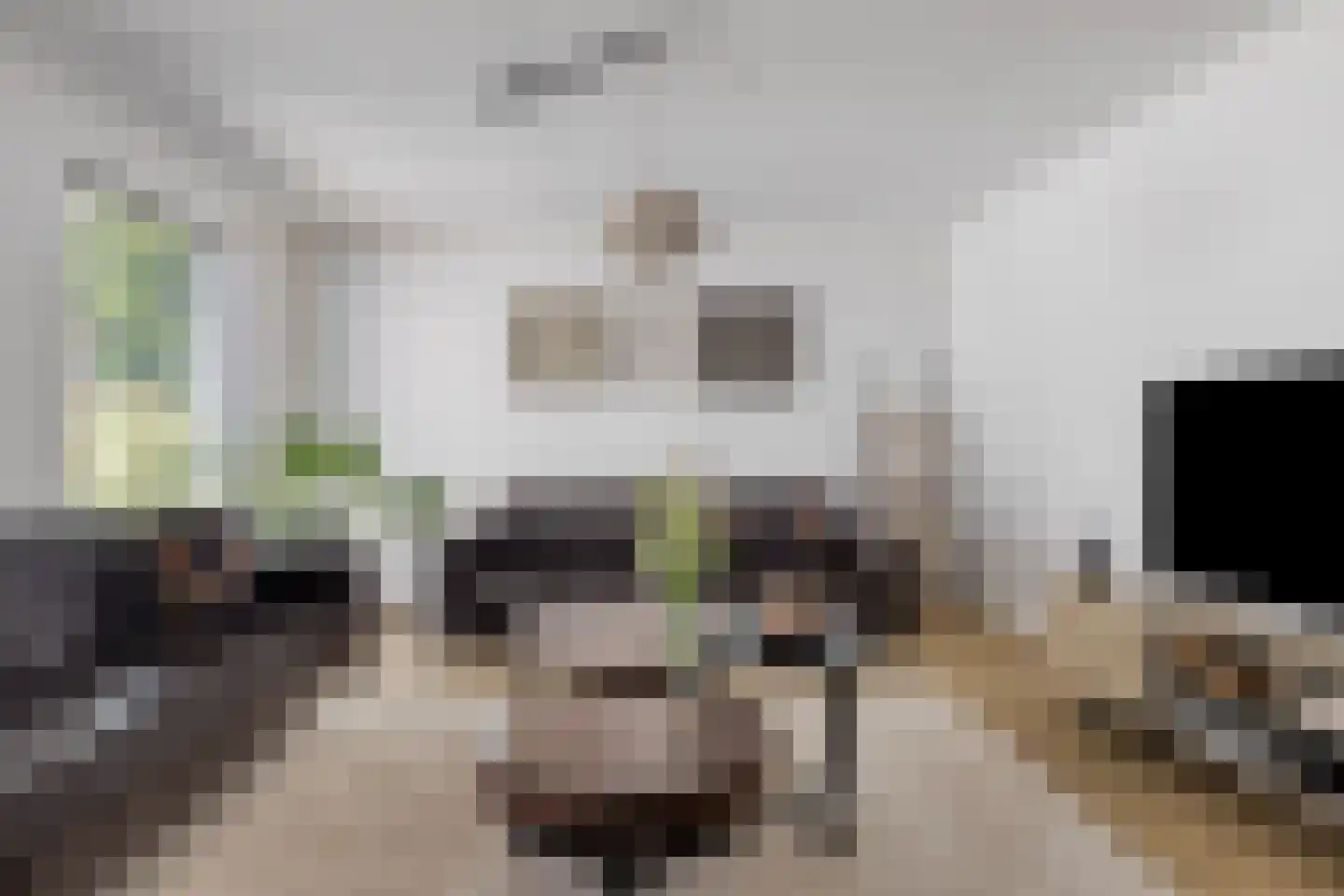 Axelsestraat 36 Terneuzen thumbnail 13