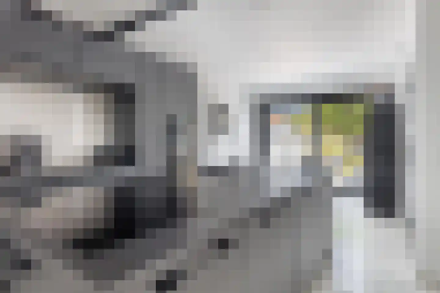 Axelsestraat 36 Terneuzen thumbnail 19