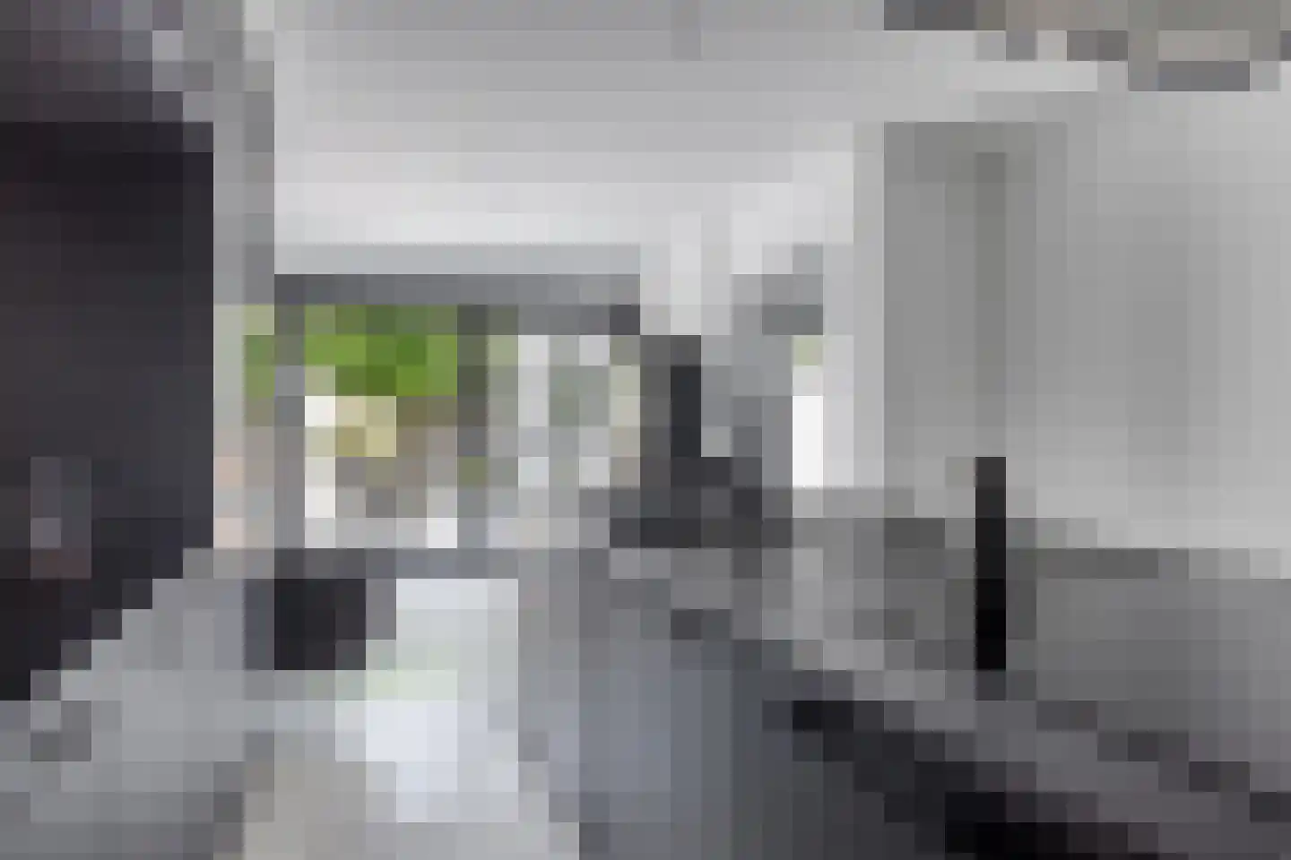 Axelsestraat 36 Terneuzen thumbnail 20