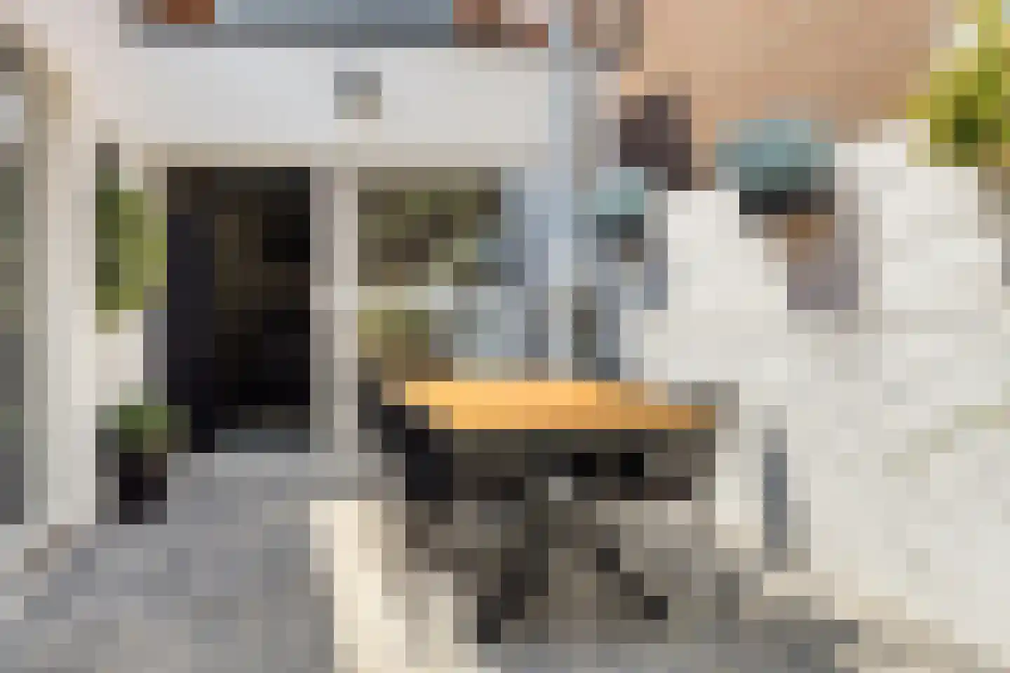 Axelsestraat 36 Terneuzen thumbnail 4