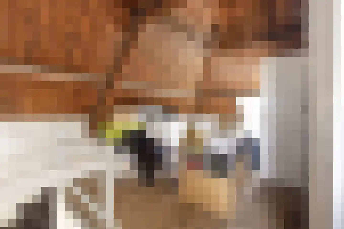 Axelsestraat 36 Terneuzen thumbnail 42
