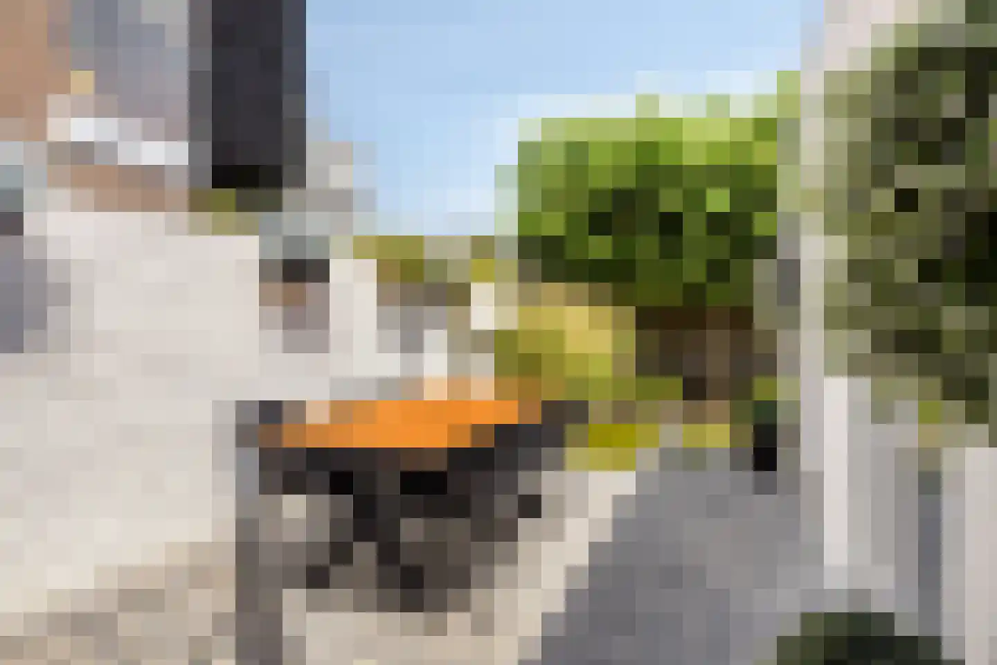 Axelsestraat 36 Terneuzen thumbnail 45