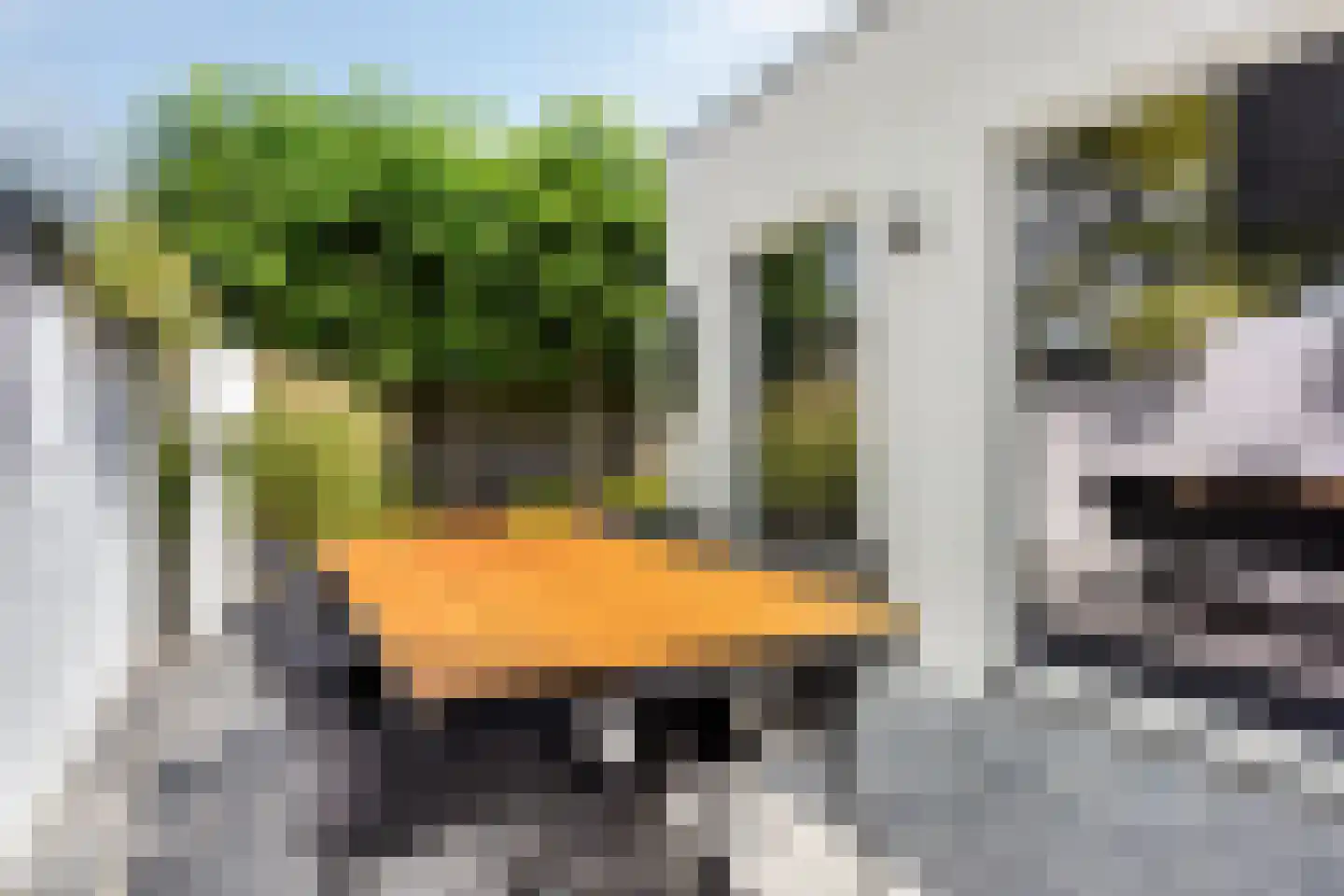 Axelsestraat 36 Terneuzen thumbnail 46