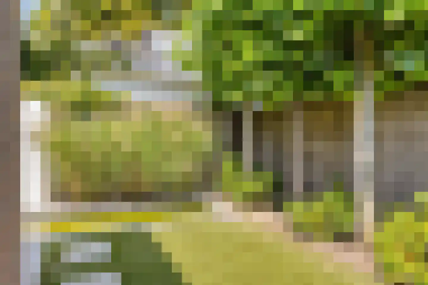 Axelsestraat 36 Terneuzen thumbnail 49