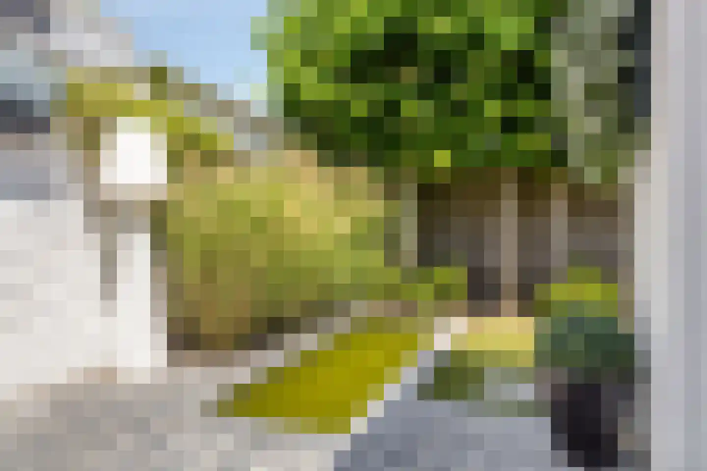 Axelsestraat 36 Terneuzen thumbnail 5