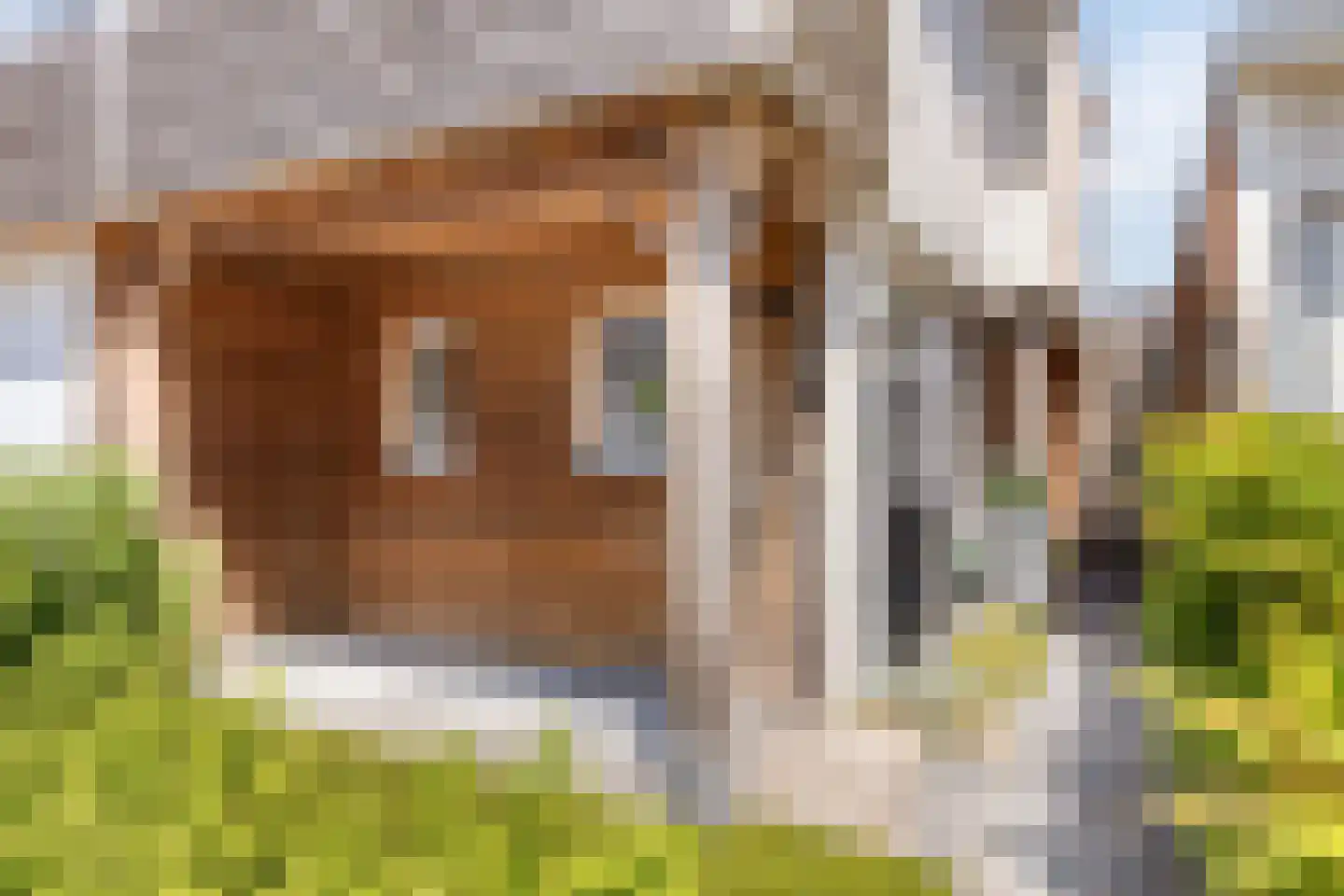 Axelsestraat 36 Terneuzen thumbnail 7