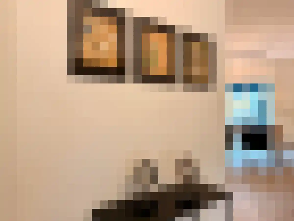Axelsestraat 38 Terneuzen thumbnail 6