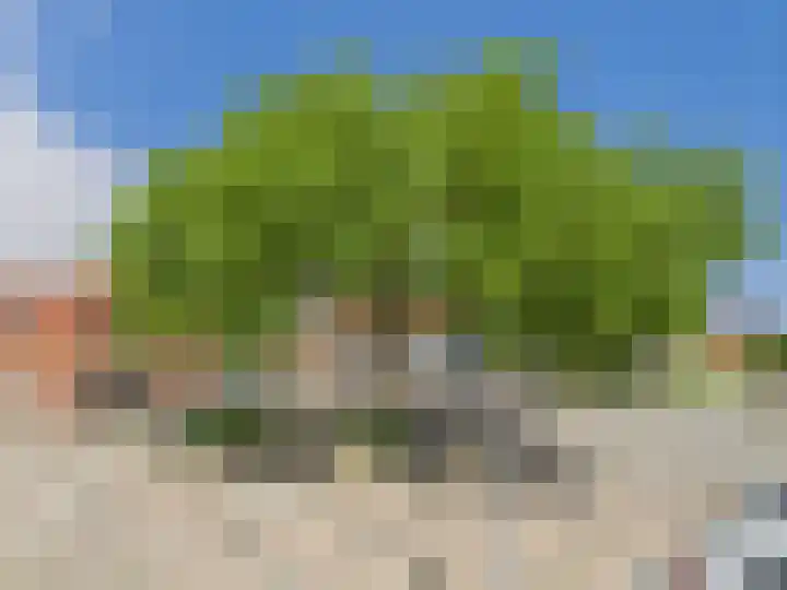 Axelsestraat 47 Terneuzen thumbnail 17