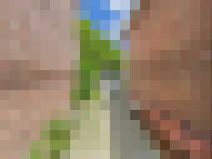 Axelsestraat 47 Terneuzen thumbnail 31