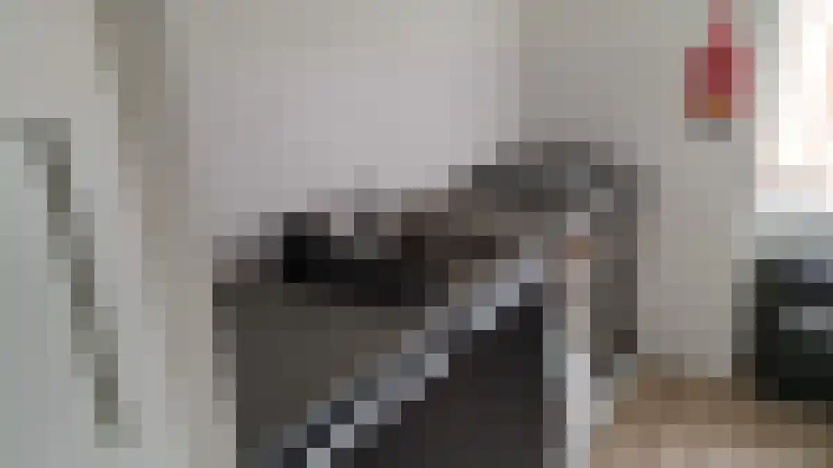 Axelsestraat 5 Terneuzen thumbnail 4