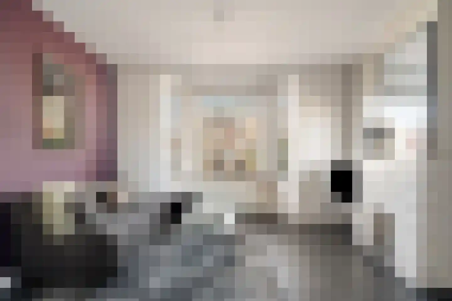 Axelsestraat 52 a Terneuzen thumbnail 11
