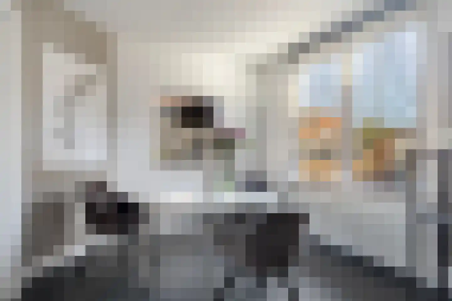 Axelsestraat 52 a Terneuzen thumbnail 15