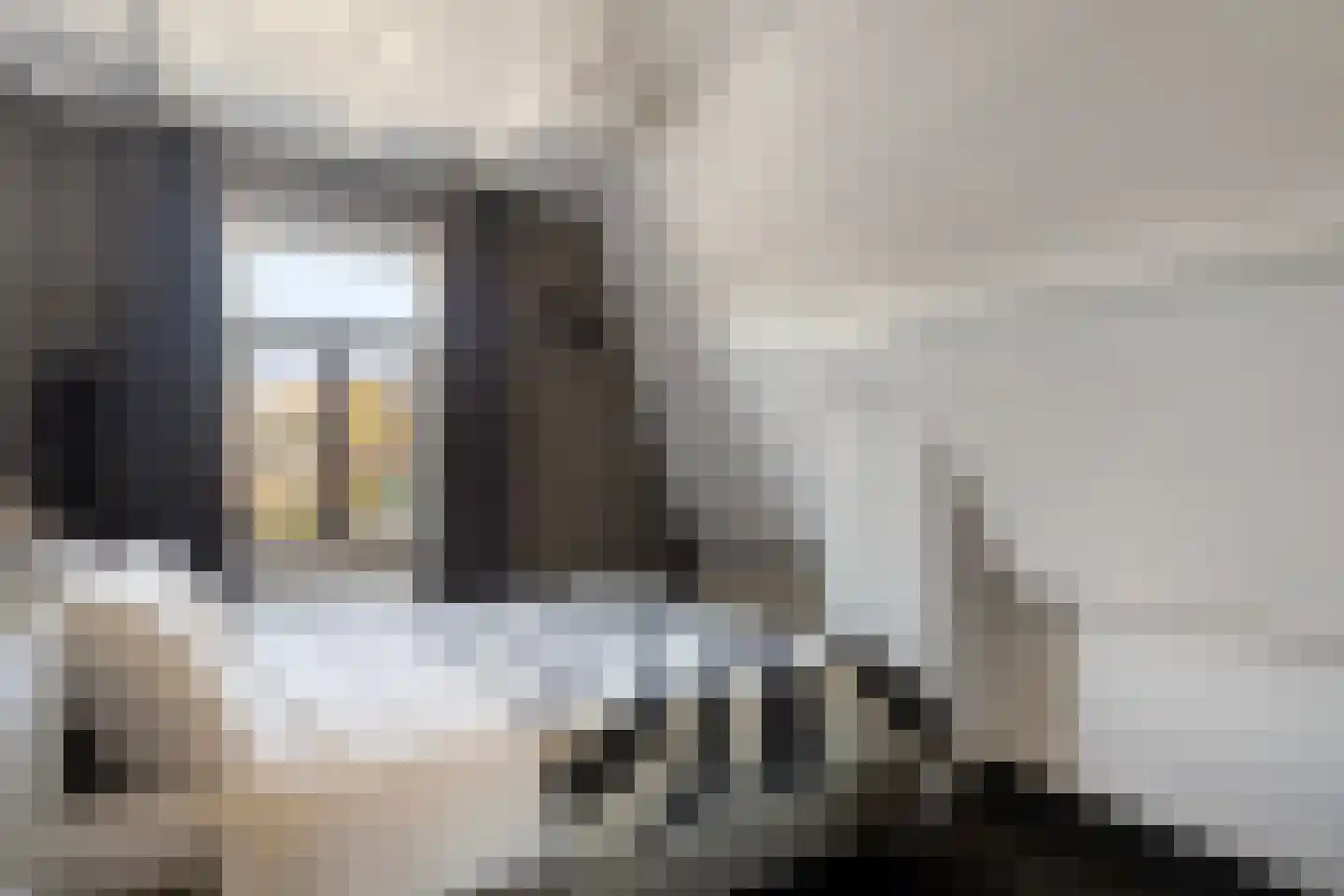 Axelsestraat 52 a Terneuzen thumbnail 24