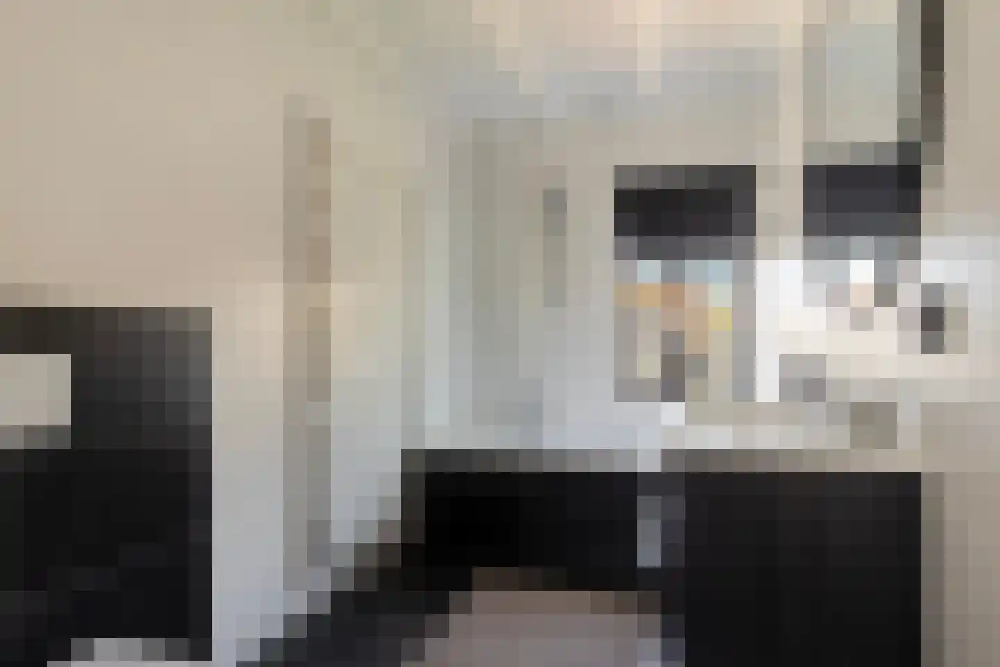 Axelsestraat 52 a Terneuzen thumbnail 26