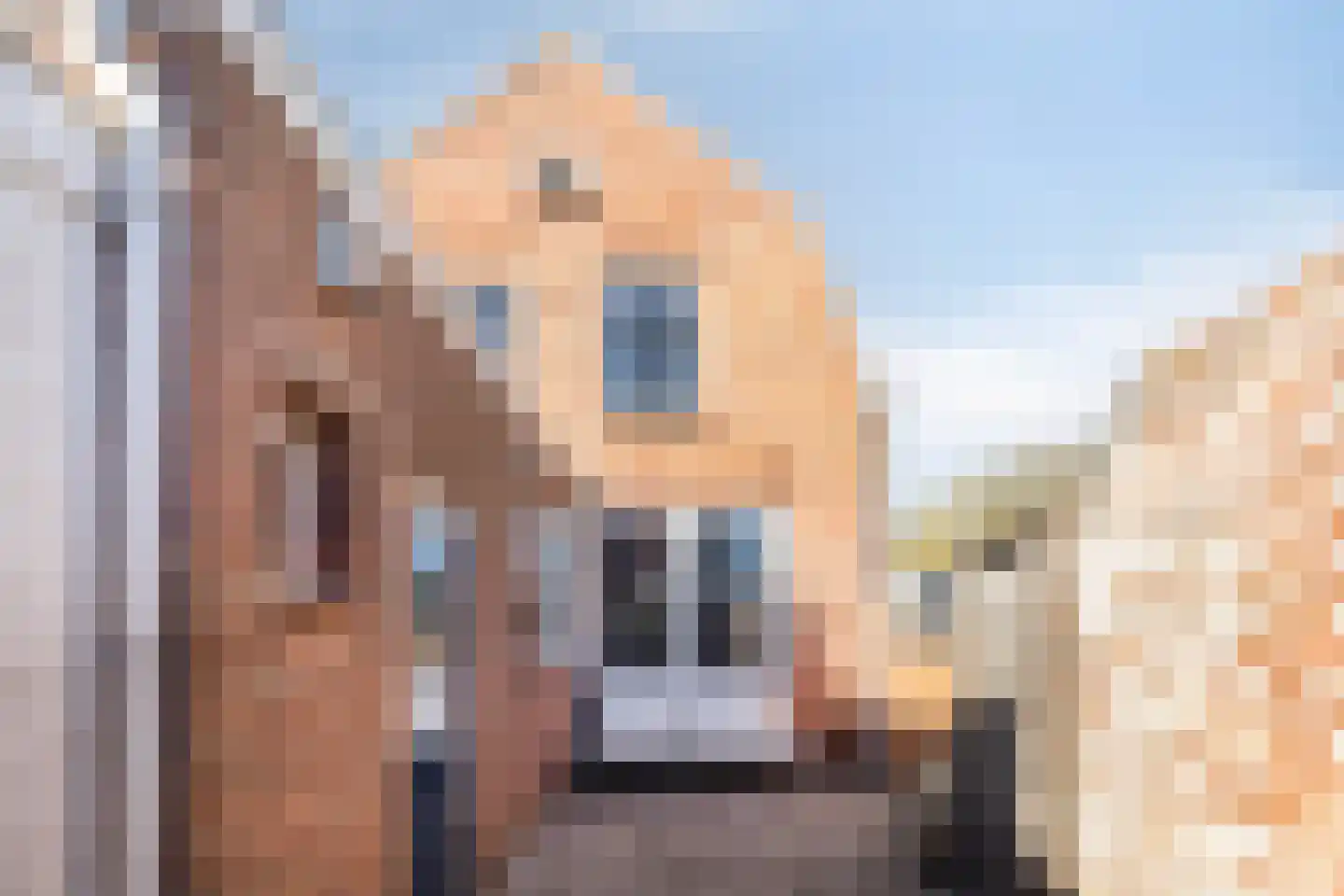 Axelsestraat 52 a Terneuzen thumbnail 31